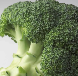 Капуста броколі Агасcі F1 20шт, Професійне насіння