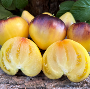 *Томат "Сержант Пеппер" Жовтий