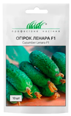 Огірок Ленара F1, 10шт, Професіне насіння