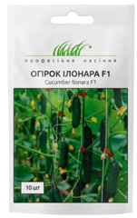 Огірок Ілонара F1, 10шт, Професійне насіння