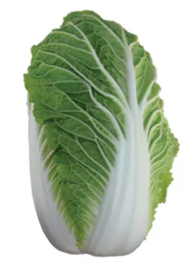 Капуста пекінська Пацифіко F1/Pacifico F1, Bejo