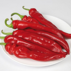 Перець гіркий KS 6215 F1, 