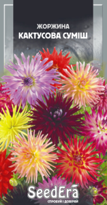 Жоржина Мінлива Кактусова Суміш 0,3г